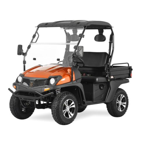 200CC UTV con naranja de alta velocidad